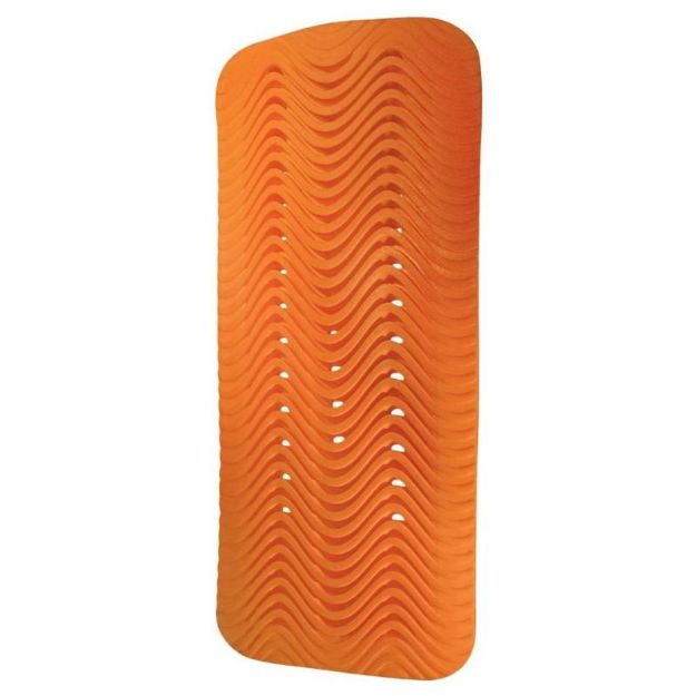 Slika ŠTITNIK ZA LEĐA RICHA D3O 